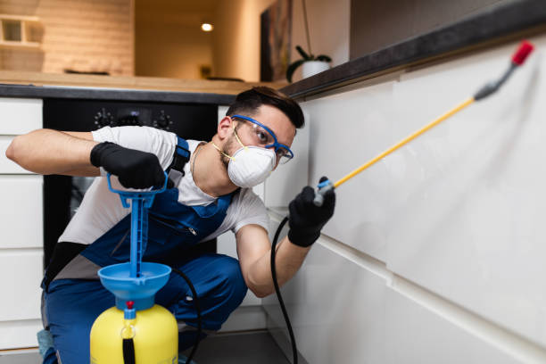 Best Wasp Removal Services  in Giddings, TX