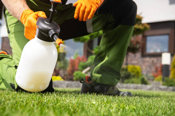 Best Pest Control Near Me  in Giddings, TX