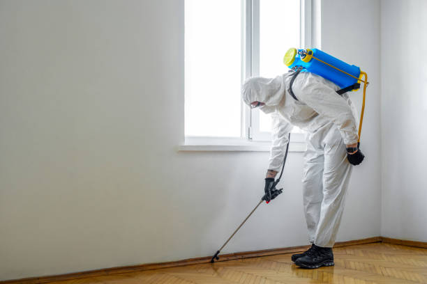 Best Commercial Pest Control Services  in Giddings, TX