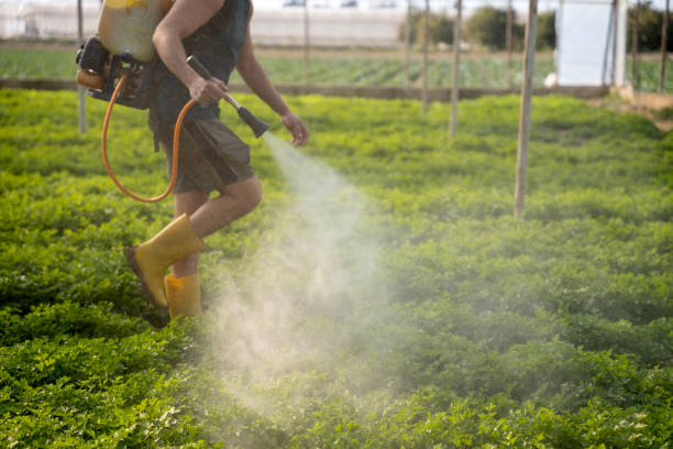Best Affordable Exterminators  in Giddings, TX