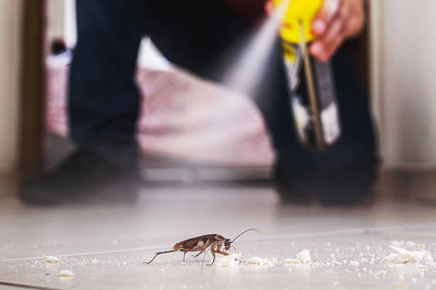 Best Affordable Pest Control Services  in Giddings, TX