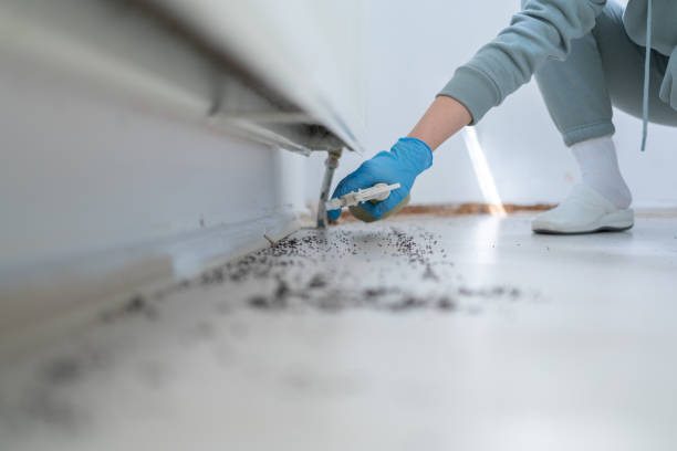 Best Pest Removal Services  in Giddings, TX