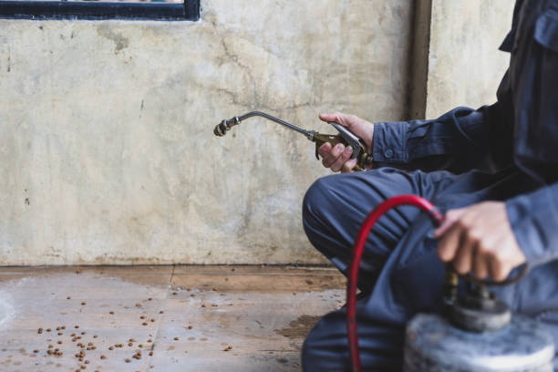 Best Pest Control Near Me in Giddings, TX