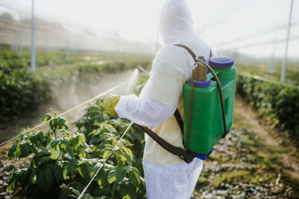 Best Emergency Pest Control  in Giddings, TX